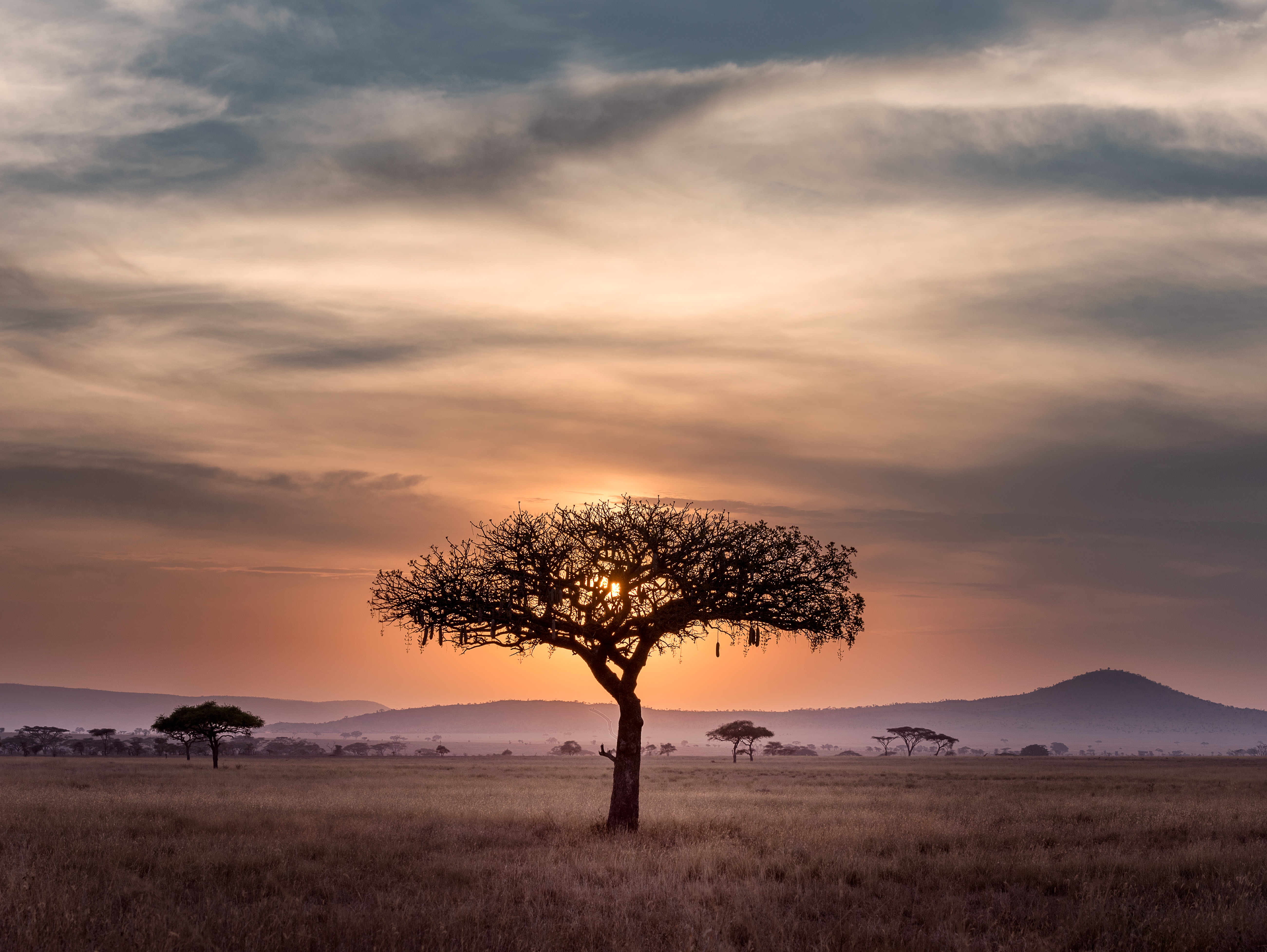 On embracing the gifts of Africa